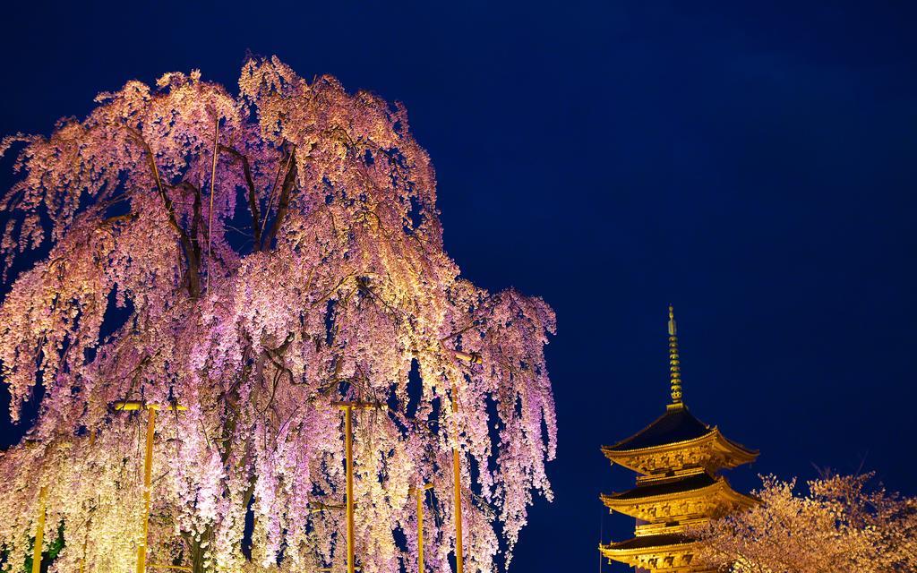 京都Miyanoan别墅 外观 照片